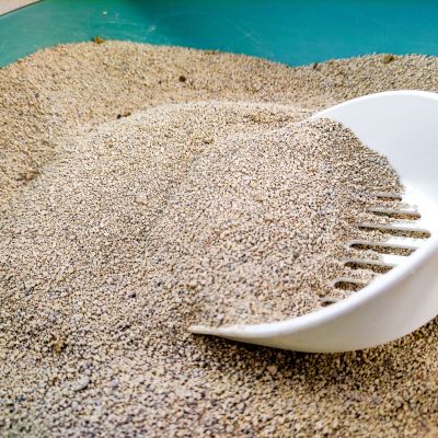 Cat sand with a spoon shovel scoop to clean