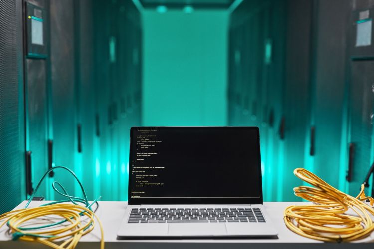 Software Development